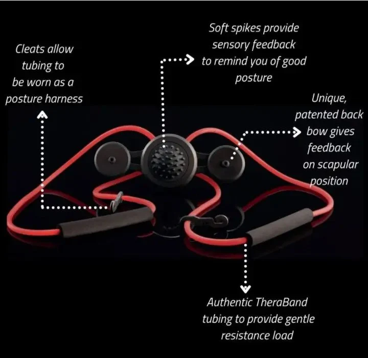 GravityFit Junior Swing Kit Training Aid - Image 3